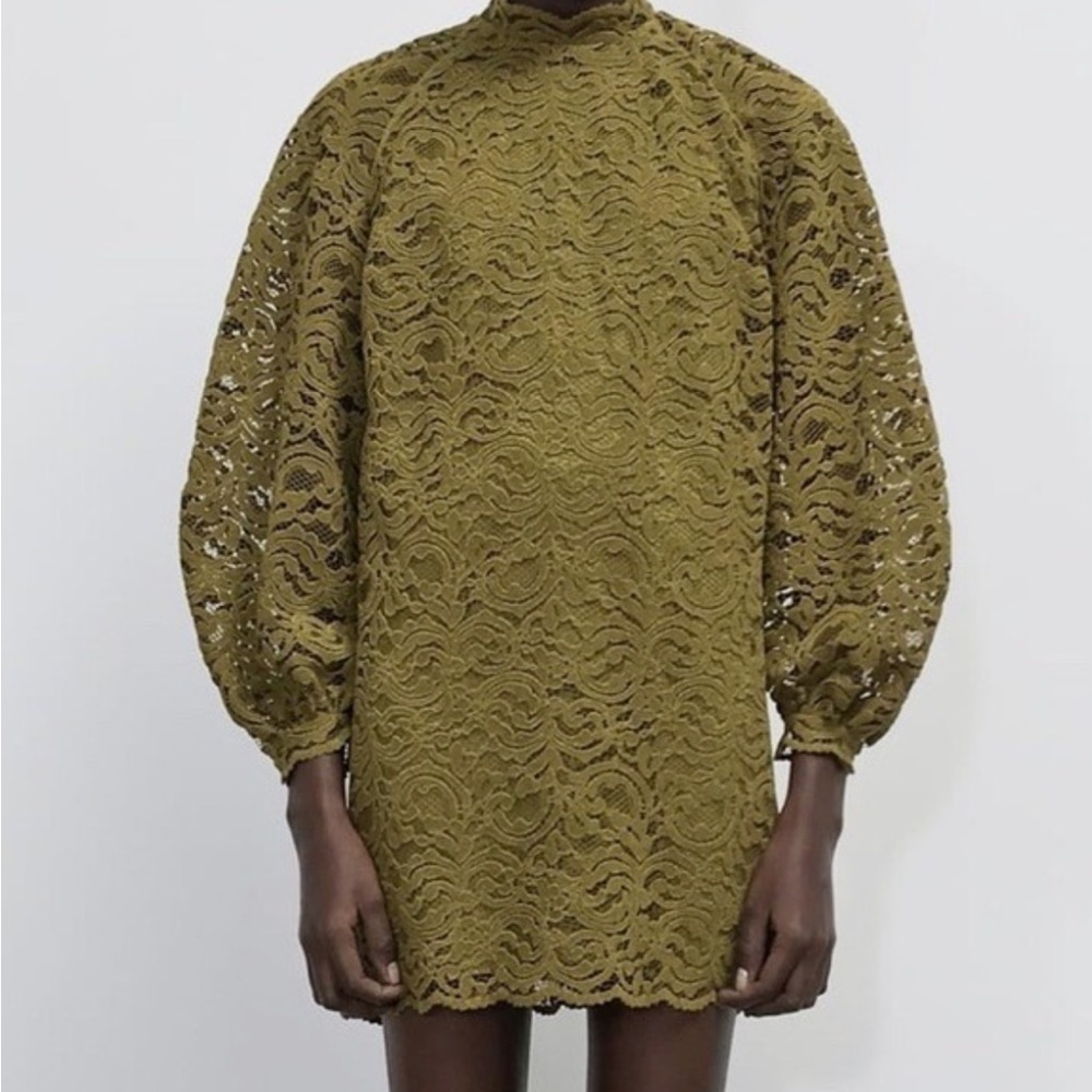 Zara Olive Lace Long Sleeve Dress